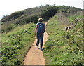 South West Coast Path near Durl Head Brixham heading west