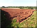 Freshly ploughed field at Whelmstone Cross