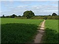 Bridleway to Farnsfield