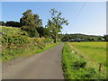 Minor road beside Camey Bank