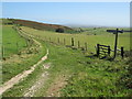 SY6187 : South Dorset Ridgeway near Dorchester by Malc McDonald