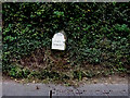 Milestone, Bencombe, nr Uley