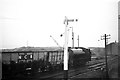 Steam locomotive at Blackhall Colliery ? 1966