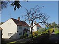 Houses on Main Street, Saxby All Saints