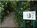 Peascroft Wood Sign