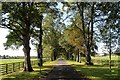 Avenue leading away from The Hawkhills