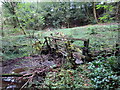 Pompren Nant Dwr-genau / Nant Dwr-genau footbridge