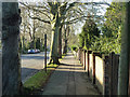 Pavement, B2020 St. Botolph