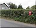 SO3514 : Queen Elizabeth II postbox in a hedge, Mynachdy Pitch, Monmouthshire  by Jaggery