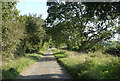 Lane on Deddington Hill