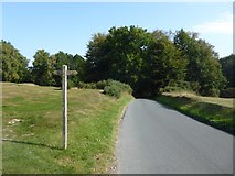 TQ4539 : Road across Holtye Golf Course by Marathon