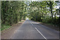 Road north of Old Eldon