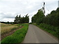 Road toward West Appleton