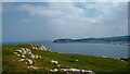 SH8182 : Little Orme from Great Orme by Y Li