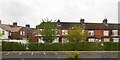 Houses, Holly Avenue, Bentley