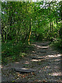 SO9092 : Woodland track and steps near The Straits, Dudley by Roger  Kidd