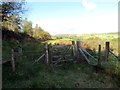 Llwybr Bancyglyn / Bancyglyn Path