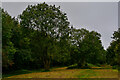 ST5578 : Henbury : Grassy Field by Lewis Clarke