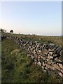 Dry Stone Wall bordering track near Moss End Farm