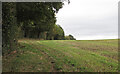 TQ5897 : Footpath on field boundary near Day's Lane, Doddinghurst by Roger Jones