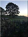 Gate on footpath approaching Greensitch