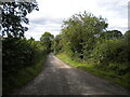 SK3130 : Common Piece Lane east of Findern by Richard Vince