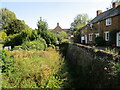 Overgrown stream, Hook Norton