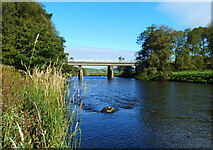 NS9323 : Bridge at Abington by Mary and Angus Hogg