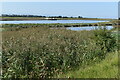 Brue estuary and wetlands