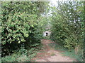 Access to derelict pump house