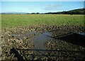 Muddy edge to a field