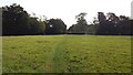 Path heading to Lodge Farm