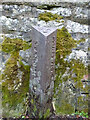 Boundary Pillar, Pitchcombe nr Stroud