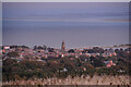 Berwick-Upon-Tweed : Town Scenery