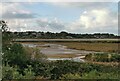 Looking across Hayle Natural History Reserve