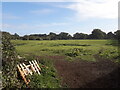 Field north of Manor Barns