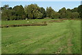 Footpath into Wiggington