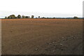 Farmland near Wiggington Heath