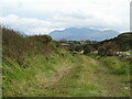 Green lane towards Cerrig Engan