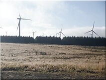 NS7039 : Wind farm, Kype Muir by Richard Webb
