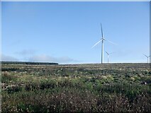 NS7039 : Felled woodland and wind turbines, Kype Muir by Richard Webb