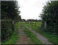 Gateway and track on west side of Hallamford Road