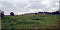 Field seen from White Lee Road, Batley