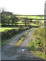 Road to Llechcynfarwy