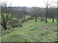 Path towards Hole Burn footbridge