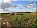 Field near Binders Lodge