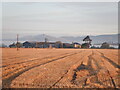 Stubble, Letham