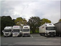 SD5052 : Lorry parking at Lancaster Services by Gerald England