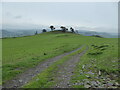 Knoll on the Gyrn above Llanislin