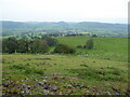 Sheep pastures above Moeliwrch farm, Llansilin